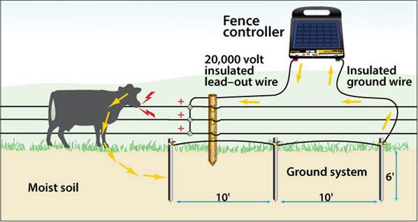 Grounding Electric Fence
