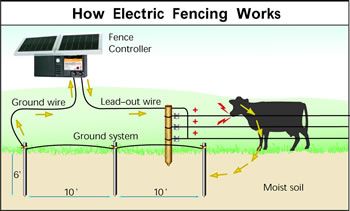 How Does An Electric Fence Work Zareba