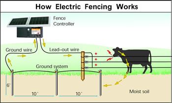 How Does an Electric Fence  performance - Zareba