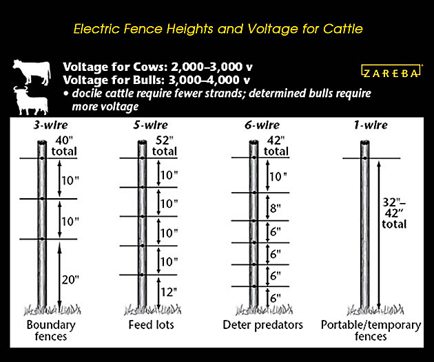How Tall Should An Electric Fence Be, Above Ground Electric Wire Fence For Dogs