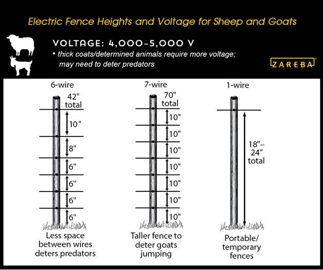 How Tall Should An Electric Fence Be