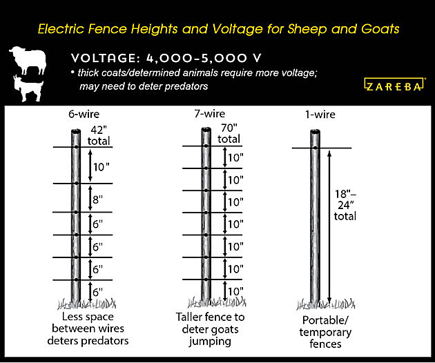 How Tall Should An Electric Fence Be, Above Ground Electric Wire Fence For Dogs