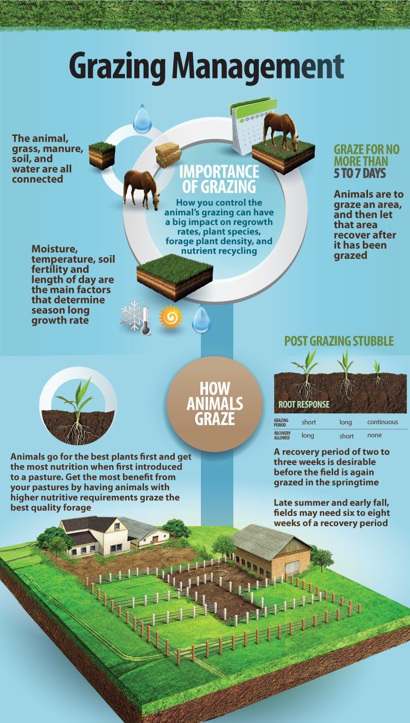 Rotational Grazing Diagram