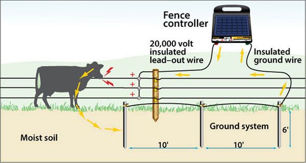 In Ground Fence Wiring Basics 